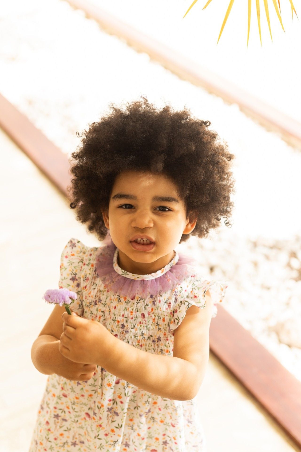 Nieva - Deolinda smocked, floral, tule detail dress